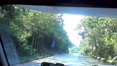 开云电竞官方网站_抗过敏产品招商 益生菌的主要作用