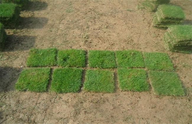 开云电竞官方网站