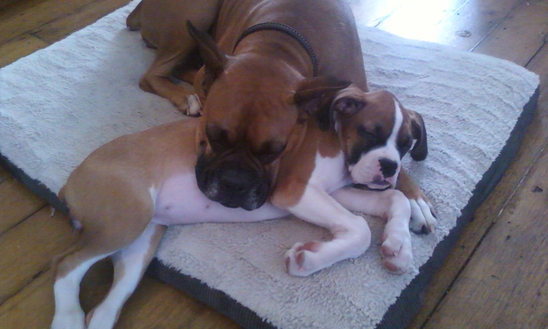 开云电竞官方网站