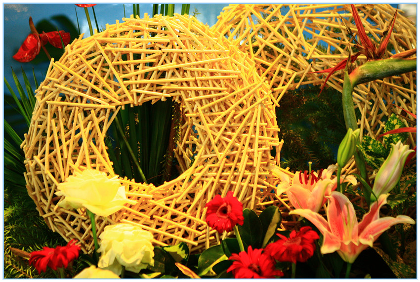 开云电竞官方网站