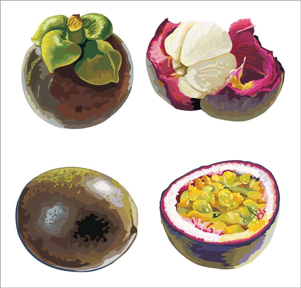 开云电竞:鸡蛋壳的功效与作用(图2) 开云电竞中国