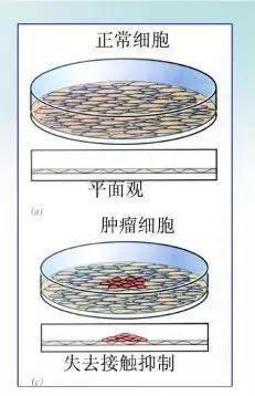 “开云电竞官方网站”沟槽回填施工五大问题怎么处理,小编给你答案!(图1) 开云电竞官方网站