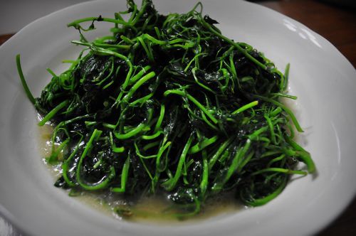 “开云电竞中国”首届“邬达克建筑遗产文化月”开幕 让我们来了解下他和他的作品(图2) 开云电竞