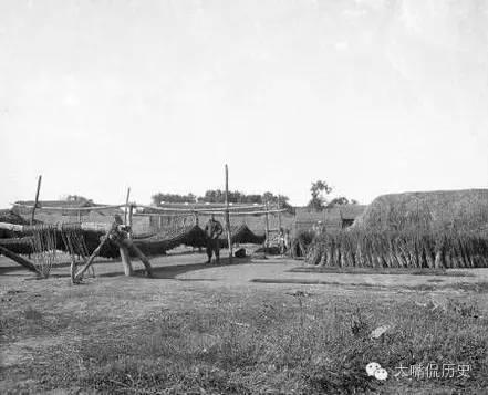 第2858章 抱着试一试的态度“开云电竞官方网站”(图3) 开云电竞