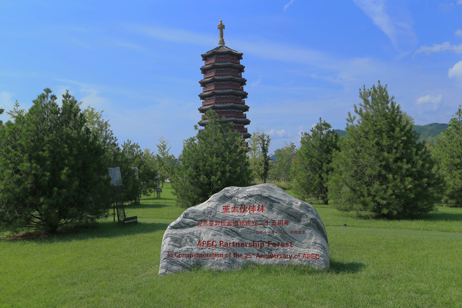 开云电竞官方网站